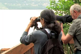 Birdwatching sul lago di Viverone