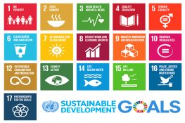 Logo 17 obiettivi di sviluppo sostenibile