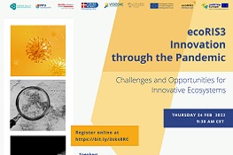 Flyer workshop ecoRIS3 Innovation through Pandemic