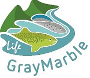 Logo progetto Graymarble