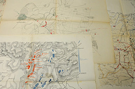 Cartografia militare: campagne napoleoniche (3
