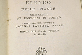 Giovanni Battista Balbis