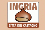 Logo Castagna