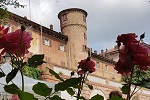 Rose e Castello