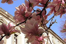 Giardino di Palazzo Cisterna in primavera (1)