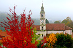 I colori dell'autunno a Cavoretto  - foto di Giuseppe D'Ambrosio